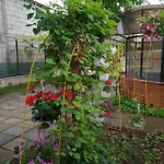 Casa Flor