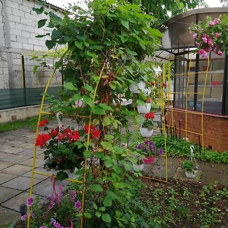 Casa Flor