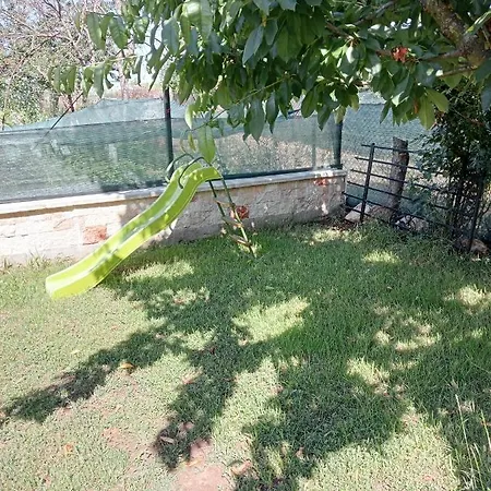 Gazde/Camere de închiriat Casa Flor *
