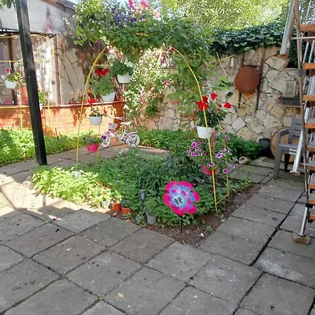 Casa Flor 홈스테이 Două Mai