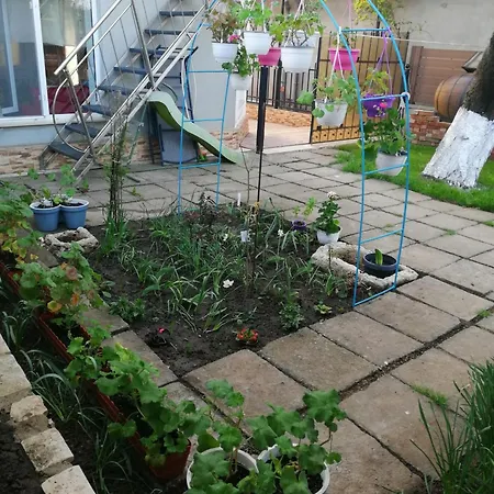 Casa Flor Două Mai